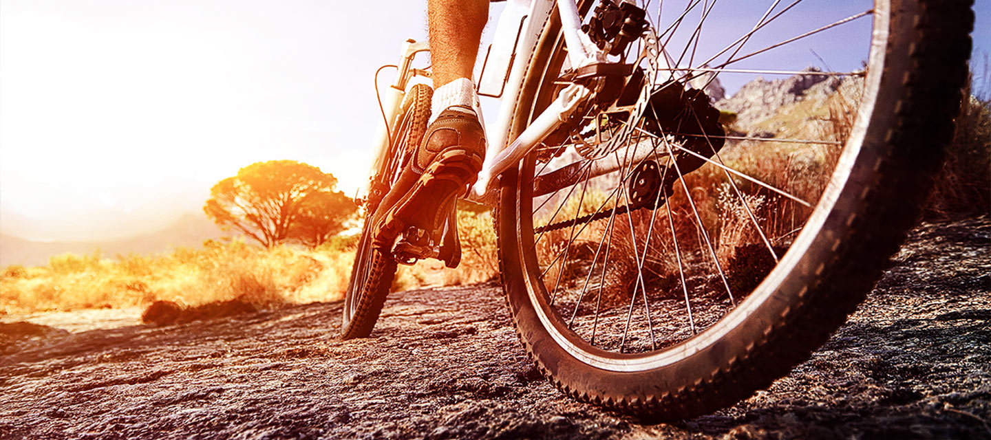 Photo: Dynamic mountain bike 